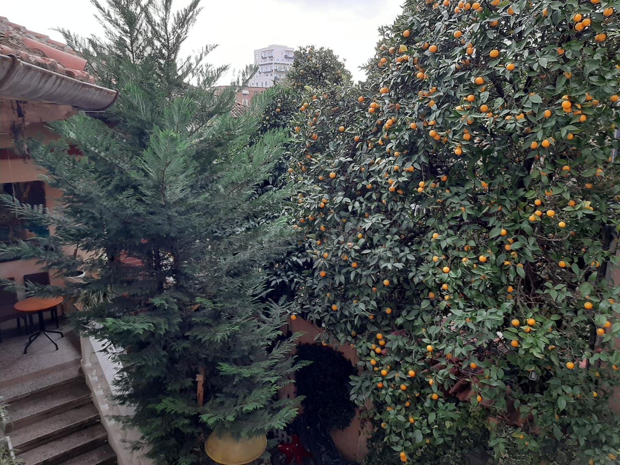 Enki'S Guesthouse Tiranë Ngoại thất bức ảnh
